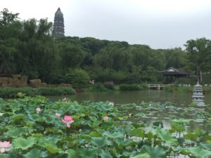 Suzhou summer palace